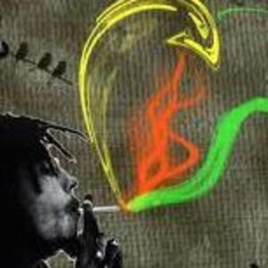 Meet your Posher, Errol